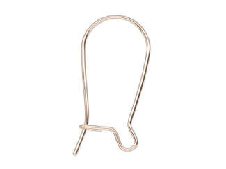 Kidney Earwire